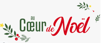 You are currently viewing Décoration des sapins de Noël